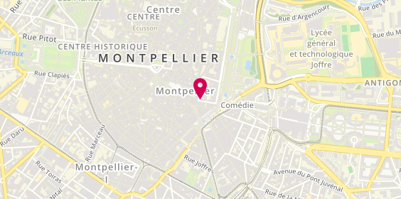 Plan de Manfield, 1 Pass. Bruyas, 34000 Montpellier