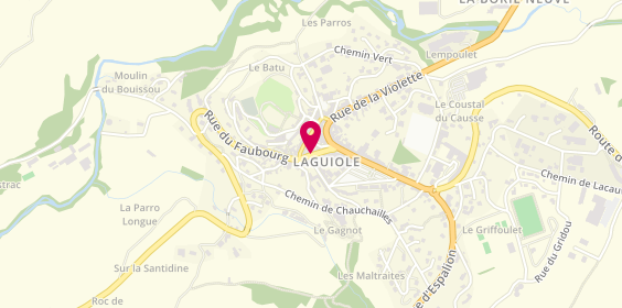 Plan de Bleu Myrtille, 7 place de la Mairie, 12210 Laguiole