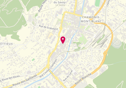 Plan de Lafuma, 165 Rue du Dr Paccard, 74400 Chamonix-Mont-Blanc