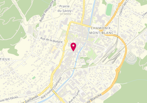 Plan de Zanetta, 70 Rue du Dr Paccard, 74400 Chamonix-Mont-Blanc