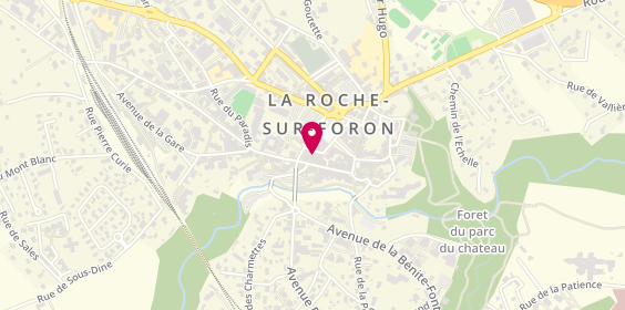 Plan de Swf, 141 Rue Carnot, 74800 La Roche-sur-Foron