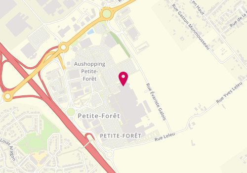 Plan de Jules Brice, Lotissement Numero 79
Centre Commercial Auchan, 59494 Petite-Forêt